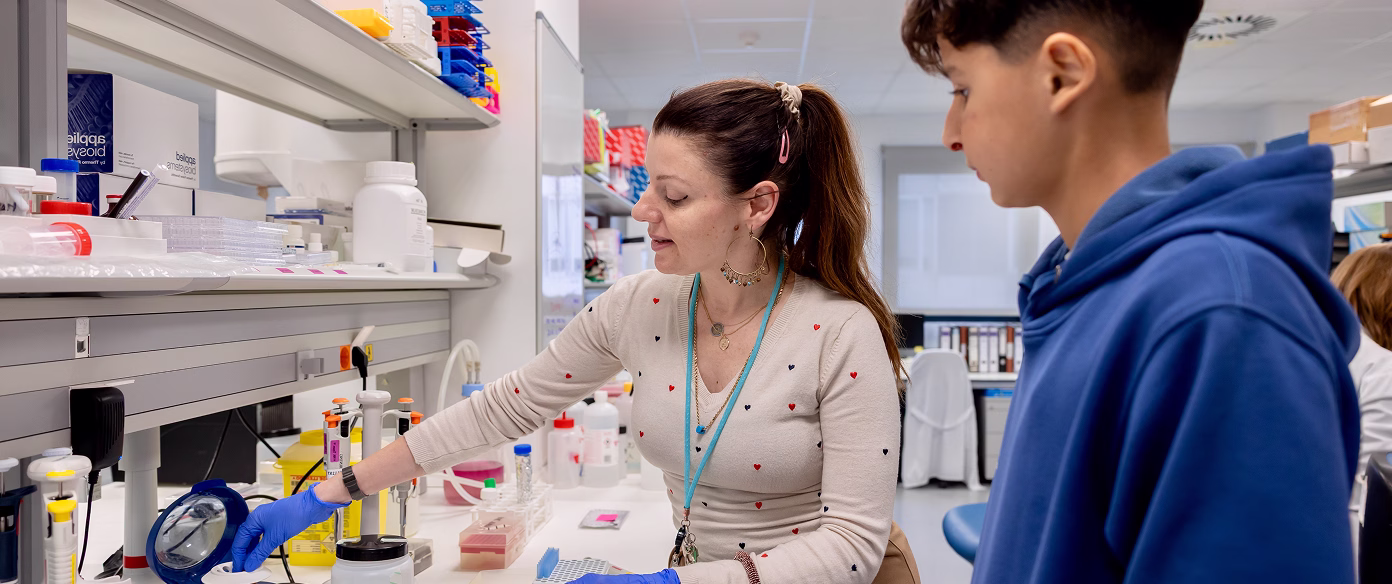 Header de la página de investigación